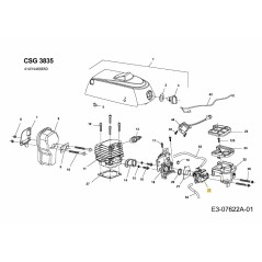 Carburetor with gaskets SG-2079206 ORIGINAL MTD | Newgardenstore.eu