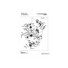 Carburetor with primer 753-05251 ORIGINAL MTD | Newgardenstore.eu