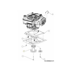PUL:ENG:4,46 DIA / 3,39 DIA 756-05185 ORIGINAL MTD | Newgardenstore.eu