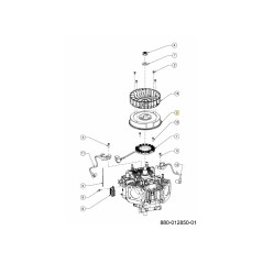 VOLANT D'ORIGINE 751-16066 MTD | Newgardenstore.eu