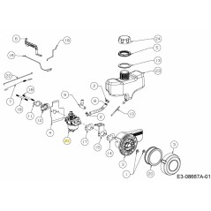 Carburetor with gaskets 751-14672 ORIGINAL MTD | Newgardenstore.eu