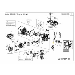 BOBINA 751-10916 ORIGINAL MTD | Newgardenstore.eu