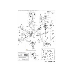 Vergaserbaugruppe 751-10310 Original MTD | Newgardenstore.eu