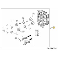 Zylinderkopf 751-14706 ORIGINAL MTD | Newgardenstore.eu