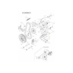 ACTIONNEUR DE PRISE DE FORCE À VIDE 751-3173 ORIGINAL MTD | Newgardenstore.eu