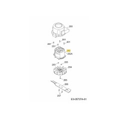 Motor 1000W +Cap., Bobinados de Al, 1110000 ORIGINAL MTD | Newgardenstore.eu