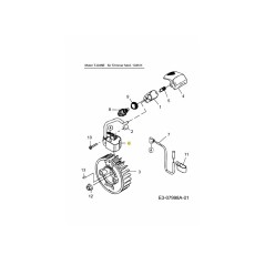 ZÜNDGERÄT KM-005055 ORIGINAL MTD | Newgardenstore.eu