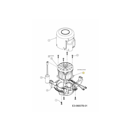 MOTORE ELETTRICO 724-04204 ORIGINALE MTD | Newgardenstore.eu
