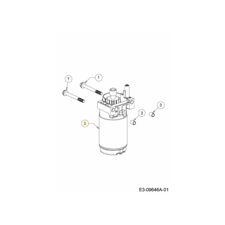 AVVIAMENTO ELETTRICO 725-06300 ORIGINALE MTD | Newgardenstore.eu