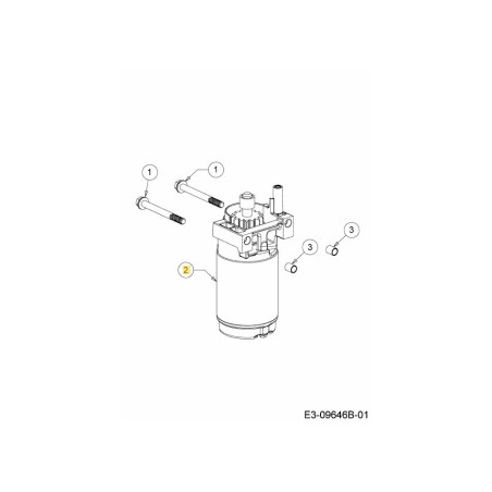 AVVIAMENTO ELETTRICO 725-10145 ORIGINALE MTD | Newgardenstore.eu