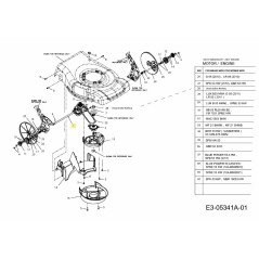 TRANS ASM XP 618-04826A ORIGINALE MTD