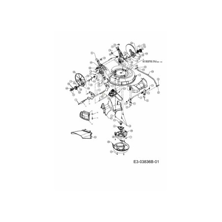 TRANS ASM:19" XP 618-04827A ORIGINAL MTD | Newgardenstore.eu