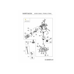 SHORT BLOCK ASSEMBLY - 1P70 751-11992 ORIGINAL MTD | Newgardenstore.eu