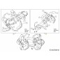 GRUPPO DENTI RH 642-04096 ORIGINALE MTD GRUPPO DENTI RH 642-04096 ORIGINALE MTD