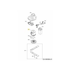 Motore trifase 46V, tosaerba 1139041 ORIGINALE MTD | Newgardenstore.eu