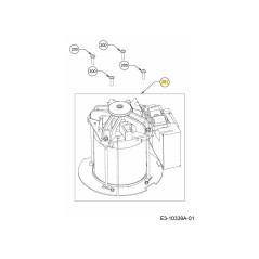 MOTORE ELETTRICO 1200W YAT 40 PCB 624-04035A ORIGINALE MTD | Newgardenstore.eu