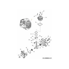 MOTOR CPL. 092.63.915 ORIGINAL MTD | Newgardenstore.eu
