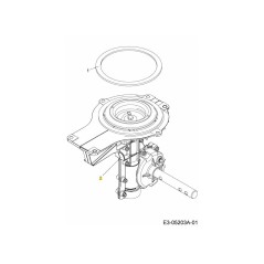 BOÎTIER ASM:WORM:61CM 618-04276B ORIGINAL MTD | Newgardenstore.eu