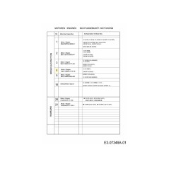 MOTOR B B&amp-S SERIE 750 161CC 752B0174H8 ORIGINAL MTD | Newgardenstore.eu