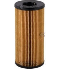 Filter Dieselmotor Landmaschine MASSEY FERGUSON MF481 - MF492 - MF5425