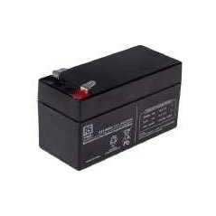 24V 24.6A Batteries (each) 6500031 ORIGINAL PERUZZO | Newgardenstore.eu