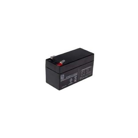24V 24,6A Batterien (je) 6500031 ORIGINAL PERUZZO | Newgardenstore.eu