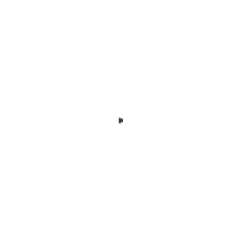 Lame triangulaire ORIGINALE PERUZZO 6010110
