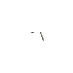 Molle per Spring Rake 50010009 ORIGINALE PERUZZO