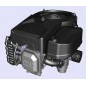 Motore completo 344 cc trattorino tagliaerba ORIGINALE MTD CUB CADET 752Z7T84JHA