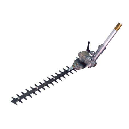 Set tagliasiepe regolabile MARUYAMA MCAX-EH15 lama doppio pettine | Newgardenstore.eu