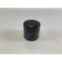 Filtro olio ORIGINALE BRIGGS STRATTON DAIHATSU motore 692513 820314 | Newgardenstore.eu