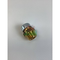 R3/8"-Ölentlüftungsventil mit Peruzzo Miselli-Ölentlüftungskappe, kompatibel mit 31A-G.3/8" | Newgardenstore.eu