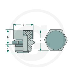 R3/8"-Ölentlüftungsventil mit Peruzzo Miselli-Ölentlüftungskappe, kompatibel mit 31A-G.3/8" | Newgardenstore.eu