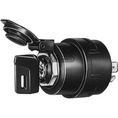 Bloque de encendido con precalentamiento COMPATIBLE - 36379 | Newgardenstore.eu