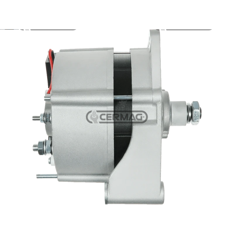 Data alternator 12 V - 95 A COMPATIBLE - 13463