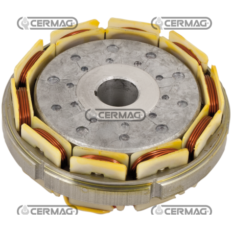 ALTERNATEUR À ANNEAU COMPATIBLE LOMBARDINI - 10681 | Newgardenstore.eu
