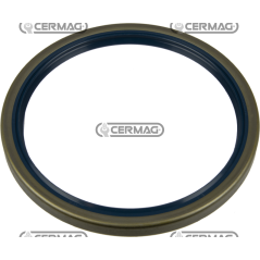 Oil seal ring Dimensions 145x170x13 mm Type B1SL COMPATIBLE - 65207 | Newgardenstore.eu