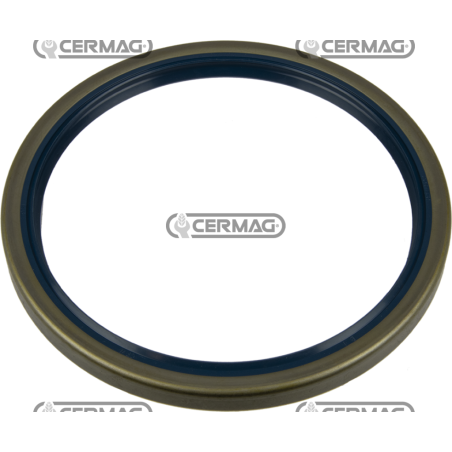 Oil seal ring Dimensions 145x170x13 mm Type B1SL COMPATIBLE - 65207 | Newgardenstore.eu