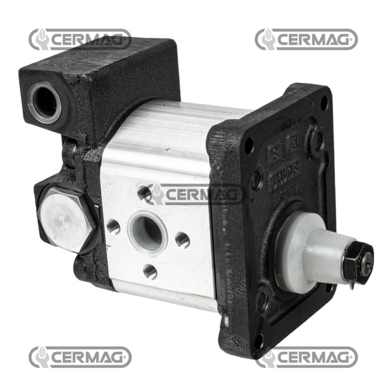 Bomba de engranajes GRUPO 2 con regulador de salida de aceite de 2 vías Cilindrada 19 cm³ COMPATIBLE - 80972 Bomba de engranajes GRUPO 2 con regulador de salida de aceite de 2 vías Cilindrada 19 cm³ COMPATIBLE - 80972