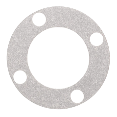 Guarnizione Motore Ruota Ambrogio L25/ L29 ORIGINALE - L25Z05700A | Newgardenstore.eu