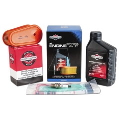 Briggs &amp- Stratton 800 - 875 Series Engine Service Kit | Newgardenstore.eu