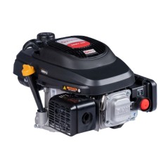 Motor completo ZANETTI ZBMV225L10 224cc 25x80 4,3kW autoenrollable | Newgardenstore.eu