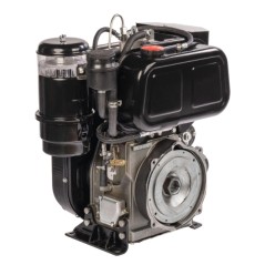 Motor diésel completo ZANETTI EV510F1E 510 cc 7,45 kW eje horizontal 30 mm | Newgardenstore.eu