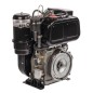Motore completo diesel ZANETTI EV510F1E 510 cc 7,45kW albero orizzontale 30 mm