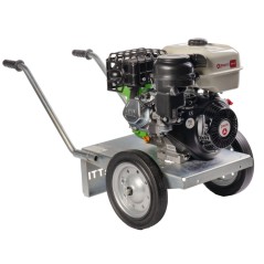 ZANETTI PB50-270AGE selbstansaugende Benzinpumpe, max. Förderhöhe 45 m | Newgardenstore.eu