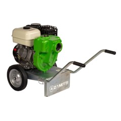 ZANETTI PB80-420AGE selbstansaugende Benzinpumpe aus Gusseisen, max. Förderhöhe 38 m | Newgardenstore.eu
