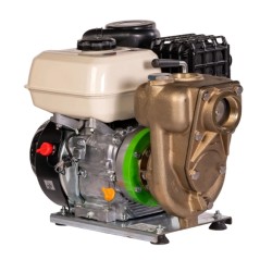 ZANETTI PB80-210AG/B self-priming petrol pump, marine bronze, max. head 28 m | Newgardenstore.eu
