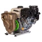ZANETTI PB80-210AG/B self-priming petrol pump, marine bronze, max. head 28 m