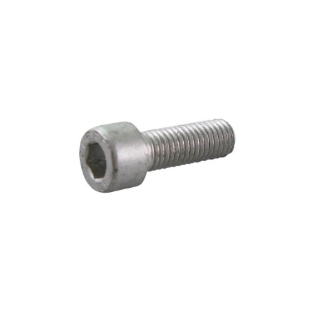 71415 TORNILLO IZQUIERDO H124D, HVHP, HVSP 8550303 ORIGINAL ETESIA | Newgardenstore.eu