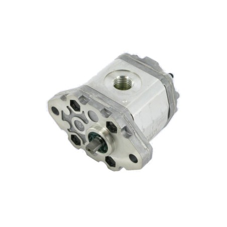 27080 HYDRO POMPE 100 05D100 6 M14/1.5 8550025 ORIGINAL ETESIA | Newgardenstore.eu